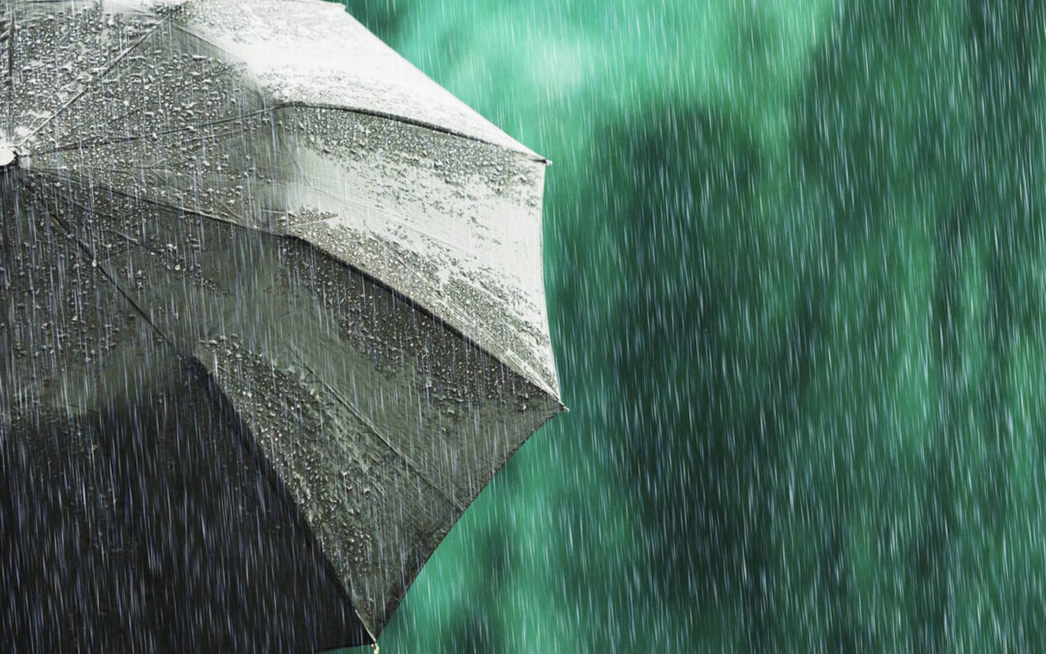 ¿Llega el alivio?: Se esperan tormentas para el AMBA y un marcado descenso de temperatura