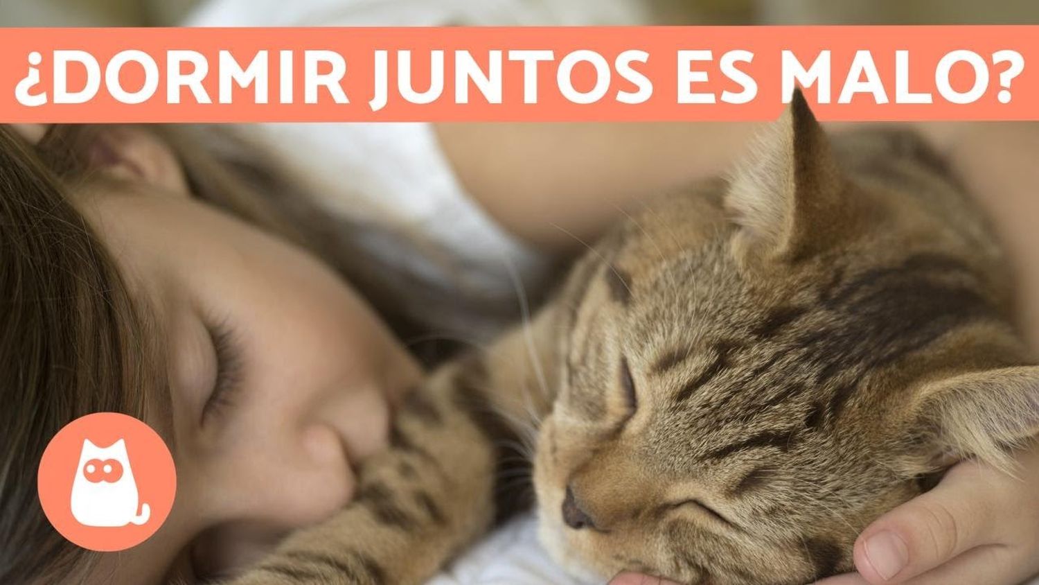 dormir con el gato en la cama es bueno?