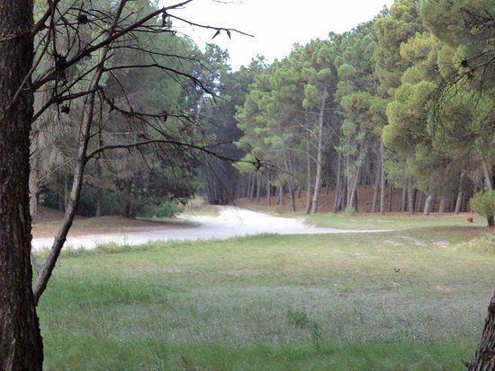 Controlaron incendio en el Vivero de Claromecó