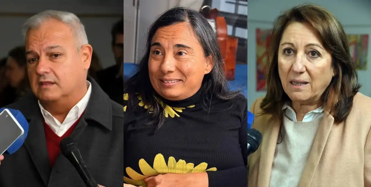 El diputado provincial Pablo Farías, la referente Gabriela Bruno y la diputada nacional Mónica Fein dialogaron sobre el importante tema. Crédito: Guillermo Di Salvatore