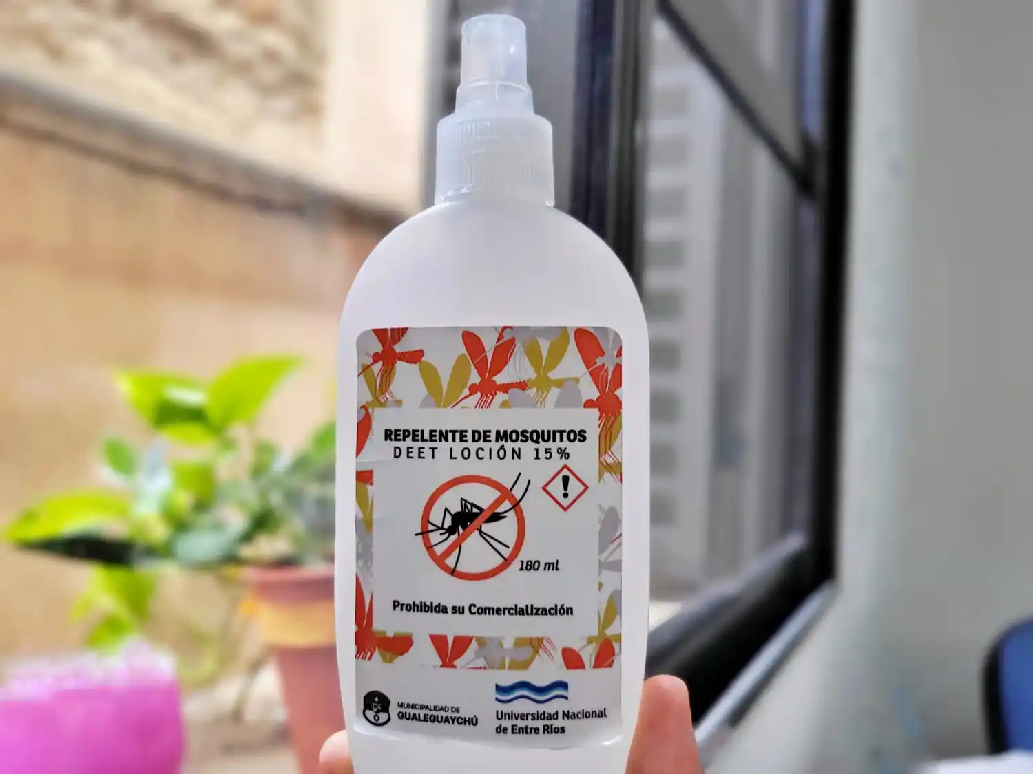 Gualeguaychú no registra ningún caso de dengue este verano