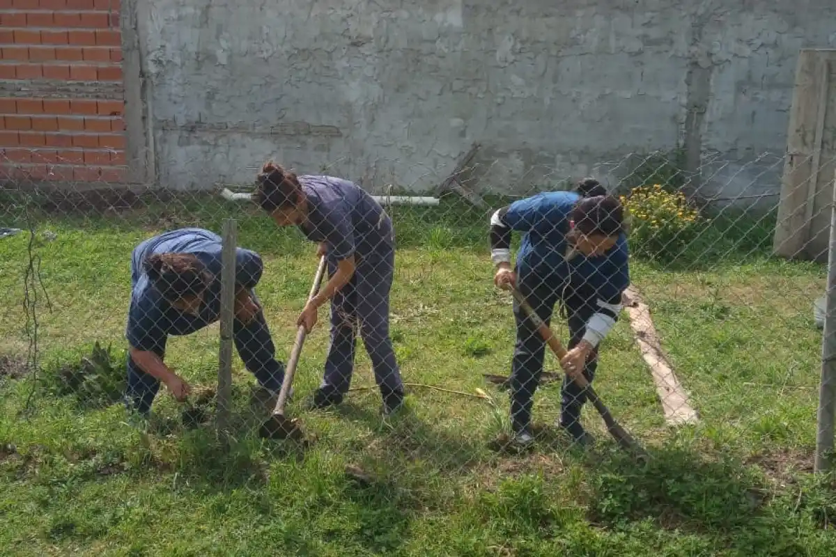 La huerta como alternativa comunitaria y educativa