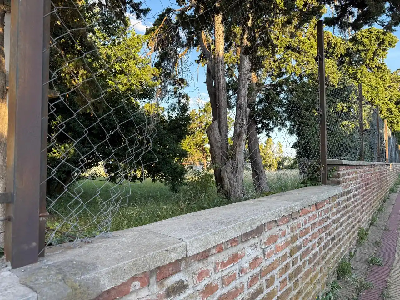 ex policlinico 10-01-26 - 1