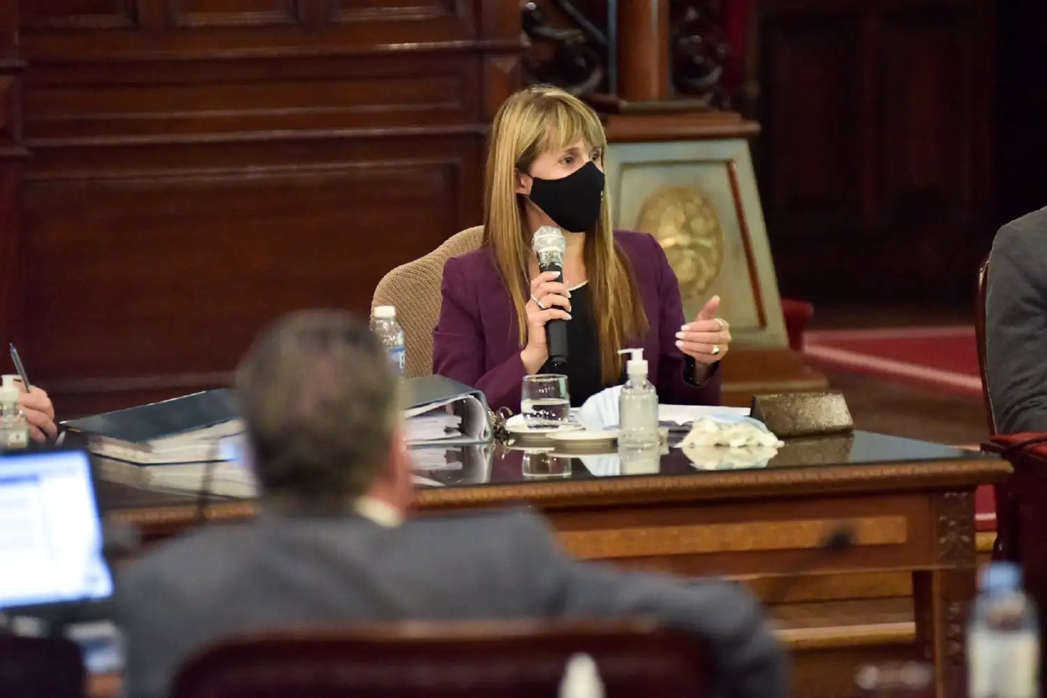 La presentación de Velázquez en Diputados no conformó a la oposición
