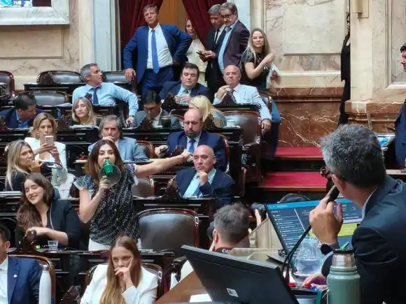 Cámara de Diputados: Pagano llamó fascista a Martín Menem, le apagaron el micrófono y la siguió con un megáfono
