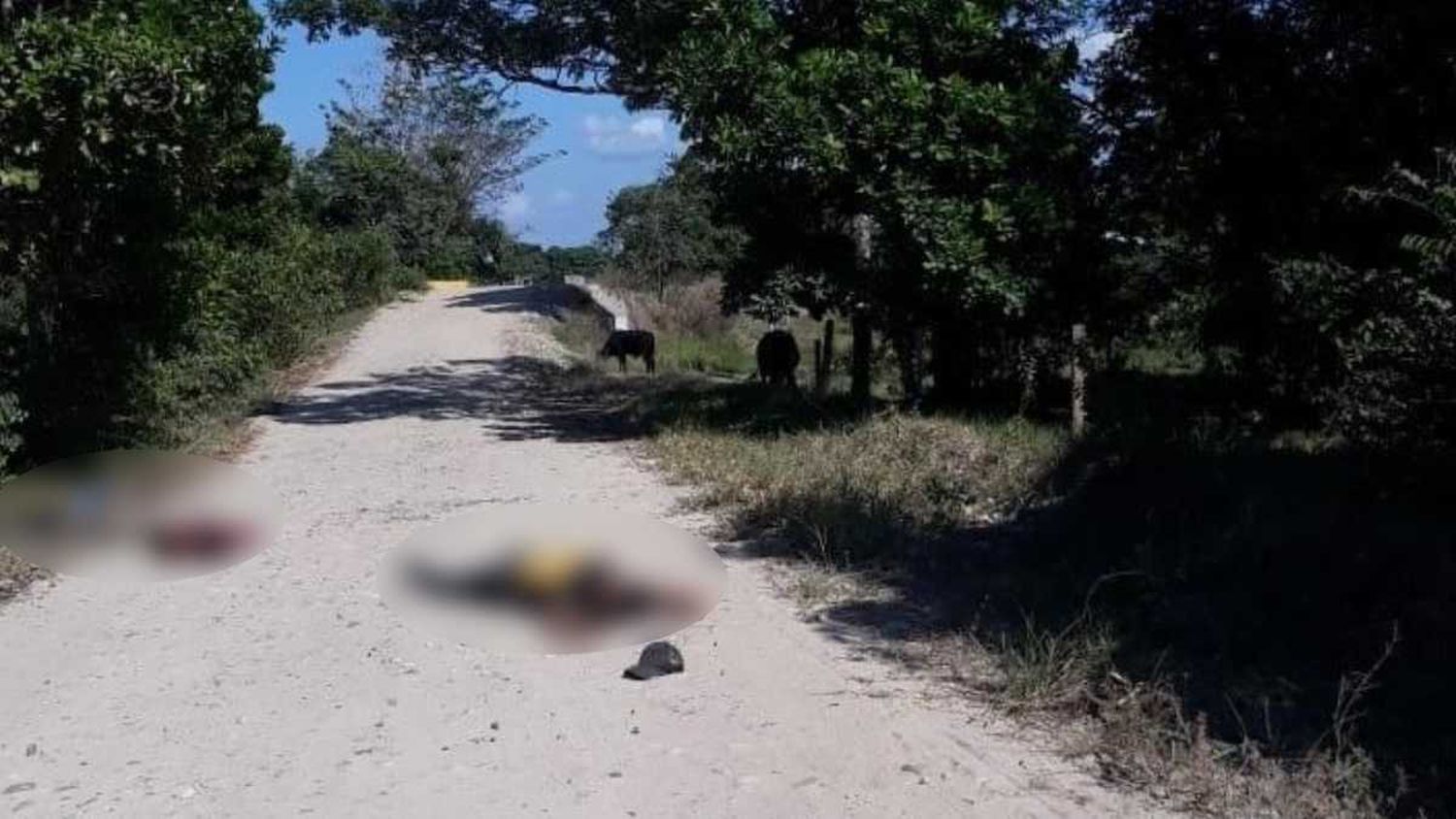 ¡FRONTERA CALIENTE! Colombia confirma muerte de 4 venezolanos en el Arauca