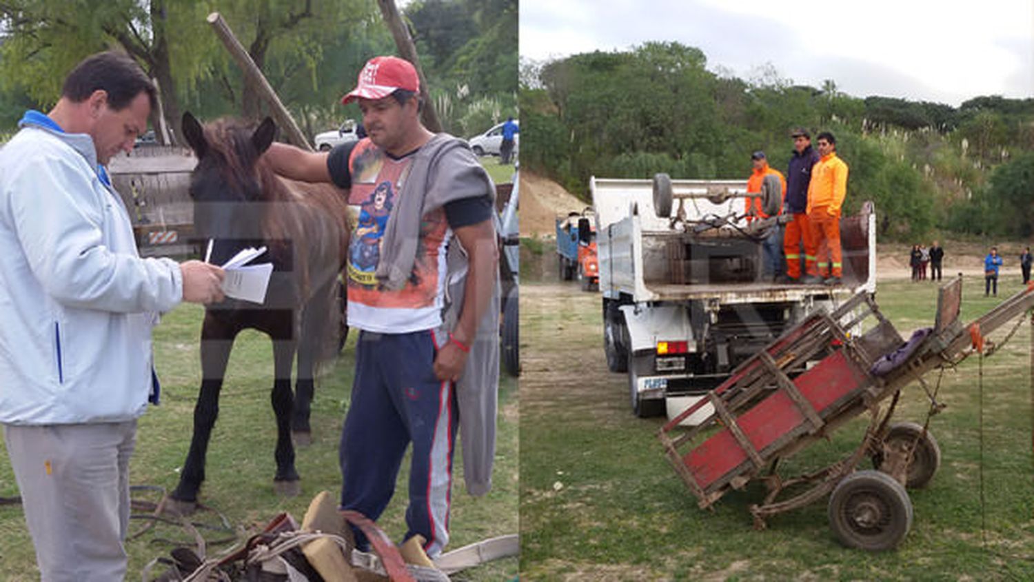 El Municipio de Paraná adoptó los caballos y entregó motocarros