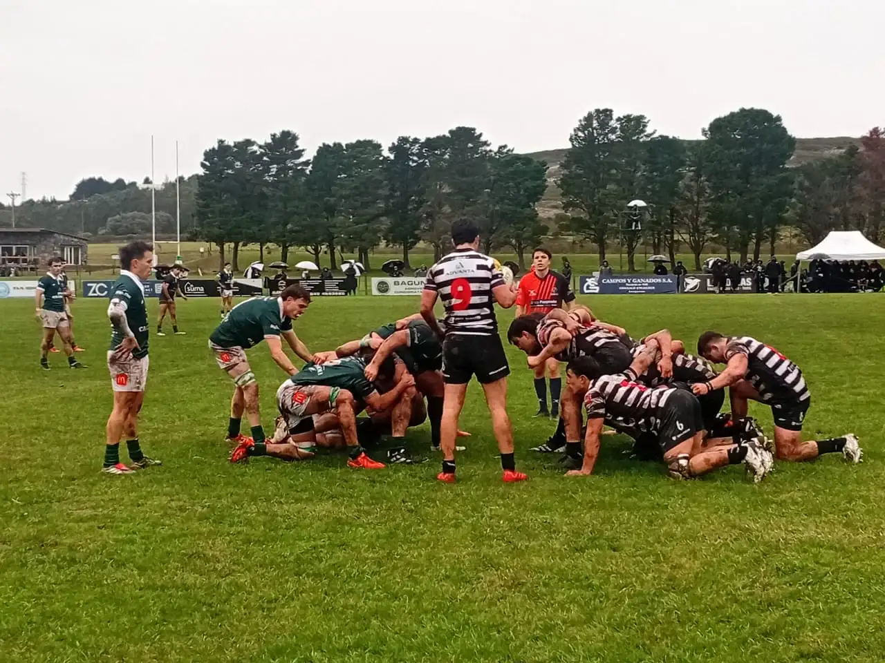 Eco rugby - 1