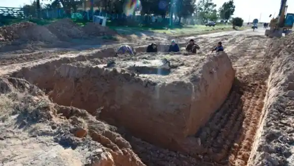 Hallazgo paleontológico en Coronel Pringles: extrajeron con éxito los fósiles de un perezoso gigante