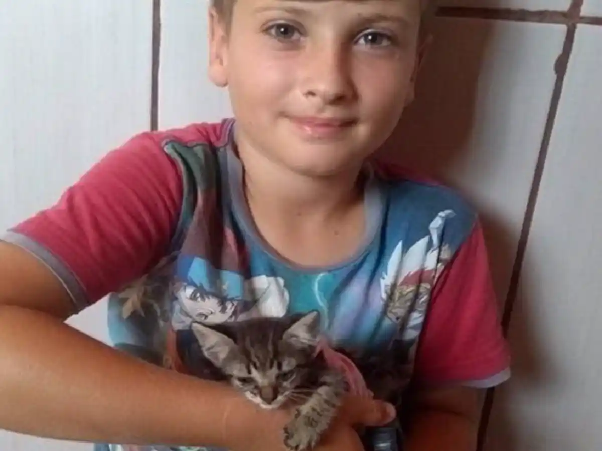 [Video] Tiene 9 años y fabricó una silla de ruedas para una gatita
