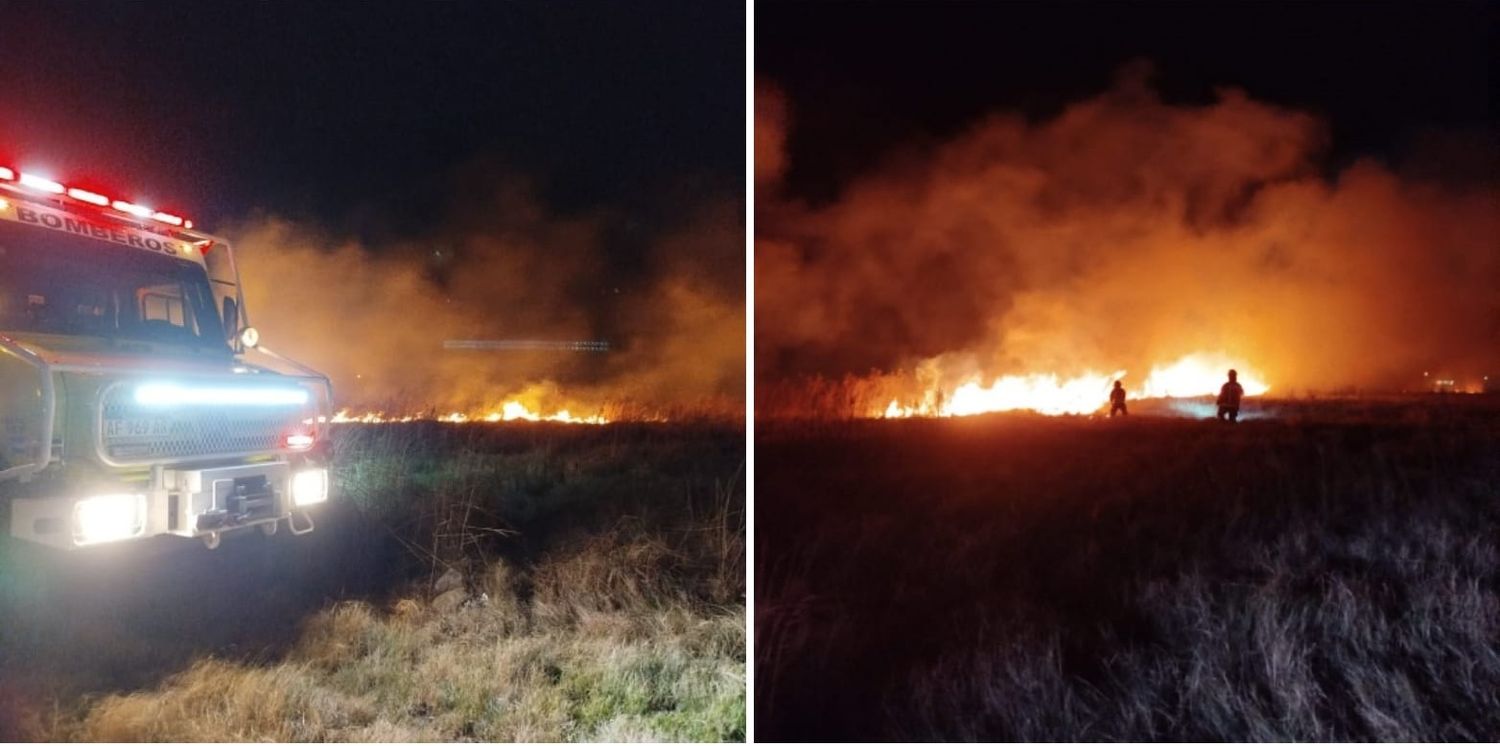 Incendio pastizales