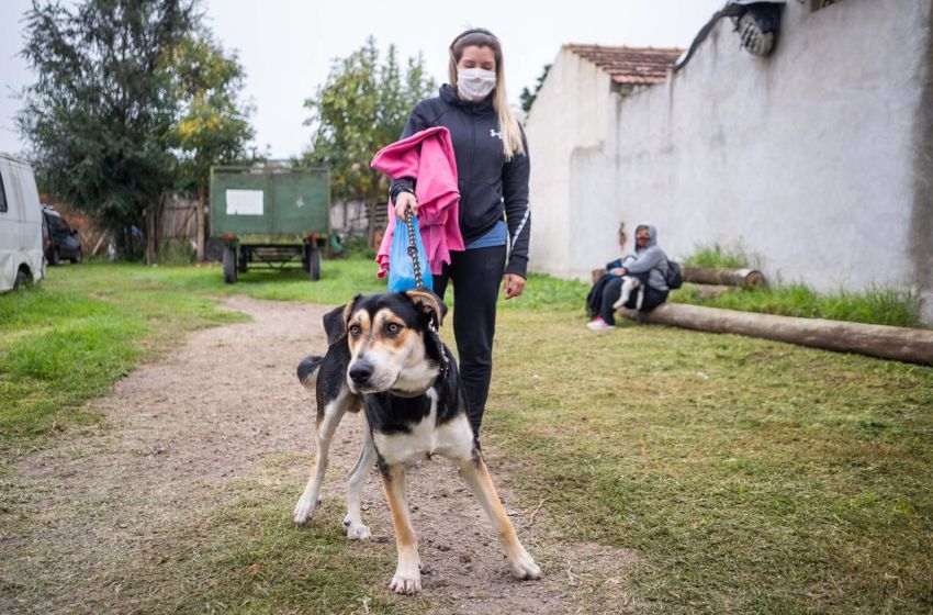El quirófano móvil para mascotas se muda al barrio Autódromo