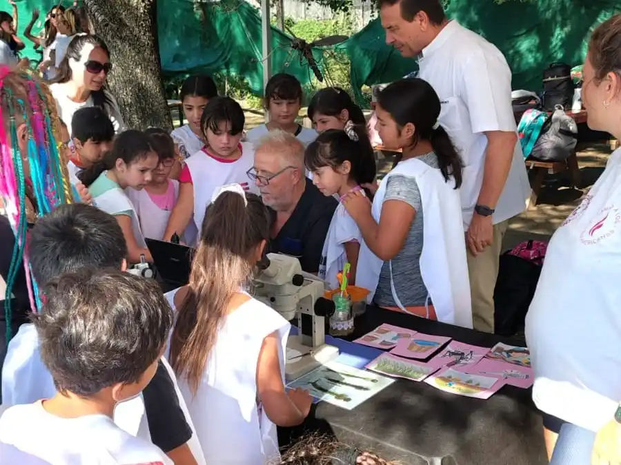 Objetivo Dengue: la prevención comenzó desde los más pequeños