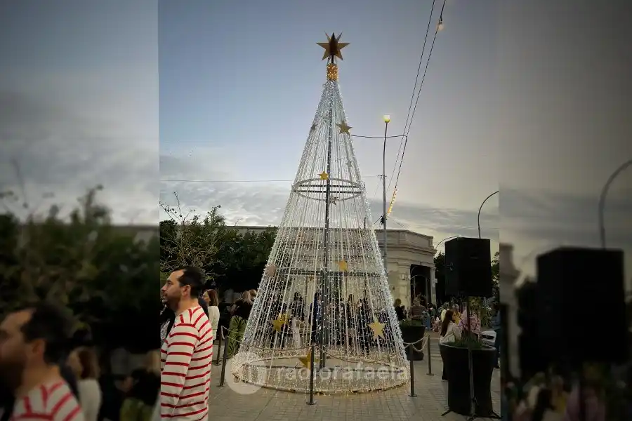 ¿Por qué armamos el arbolito de Navidad el 8 de Diciembre?