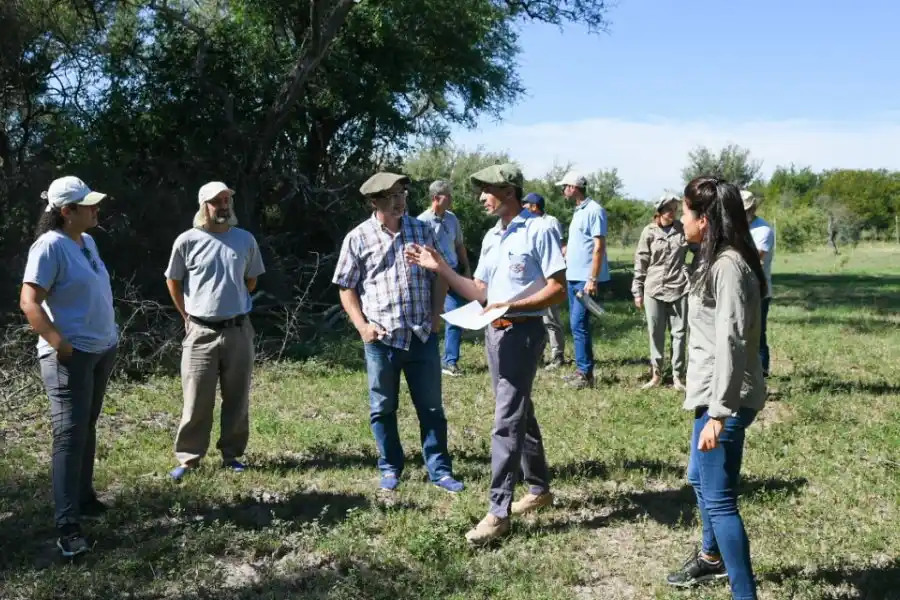 Día de los bosques: Ministerio de Ambiente y Cambio Climático fortalece acciones en el norte provincial