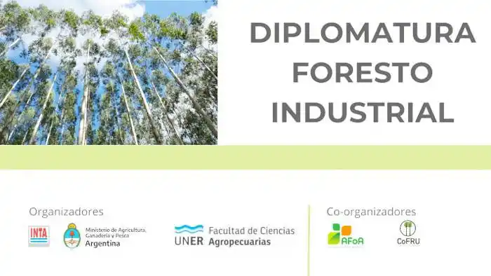 Capacitación para trabajadores forestales