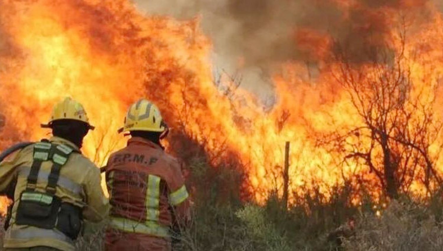 Diputados dictaminó el texto que eleva las penas por incendios intencionales