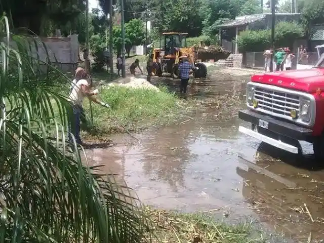 Más problemas en Quilmes: Creció el río y los camalotes llegaron a las calles de la ciudad