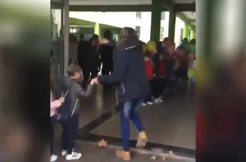 Video: el emotivo regreso de Rocco al jardín tras superar una dura enfermedad