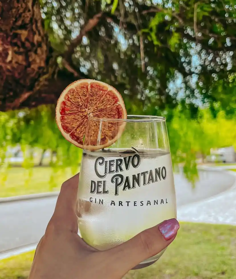 Un gin autogestionado hecho a orillas del Paraná.