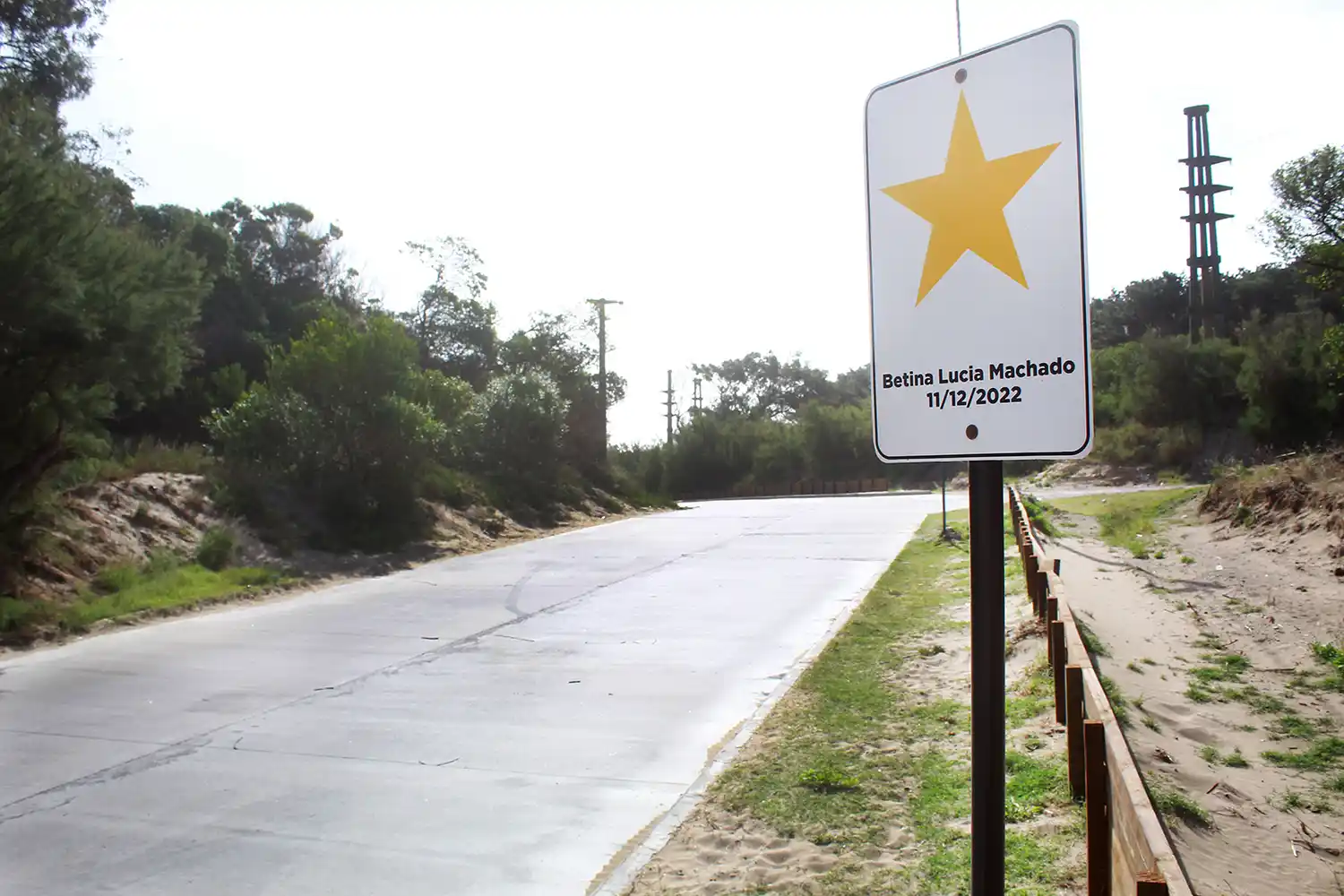Símbolo. De las víctimas de siniestros viales, “la estrella amarilla”