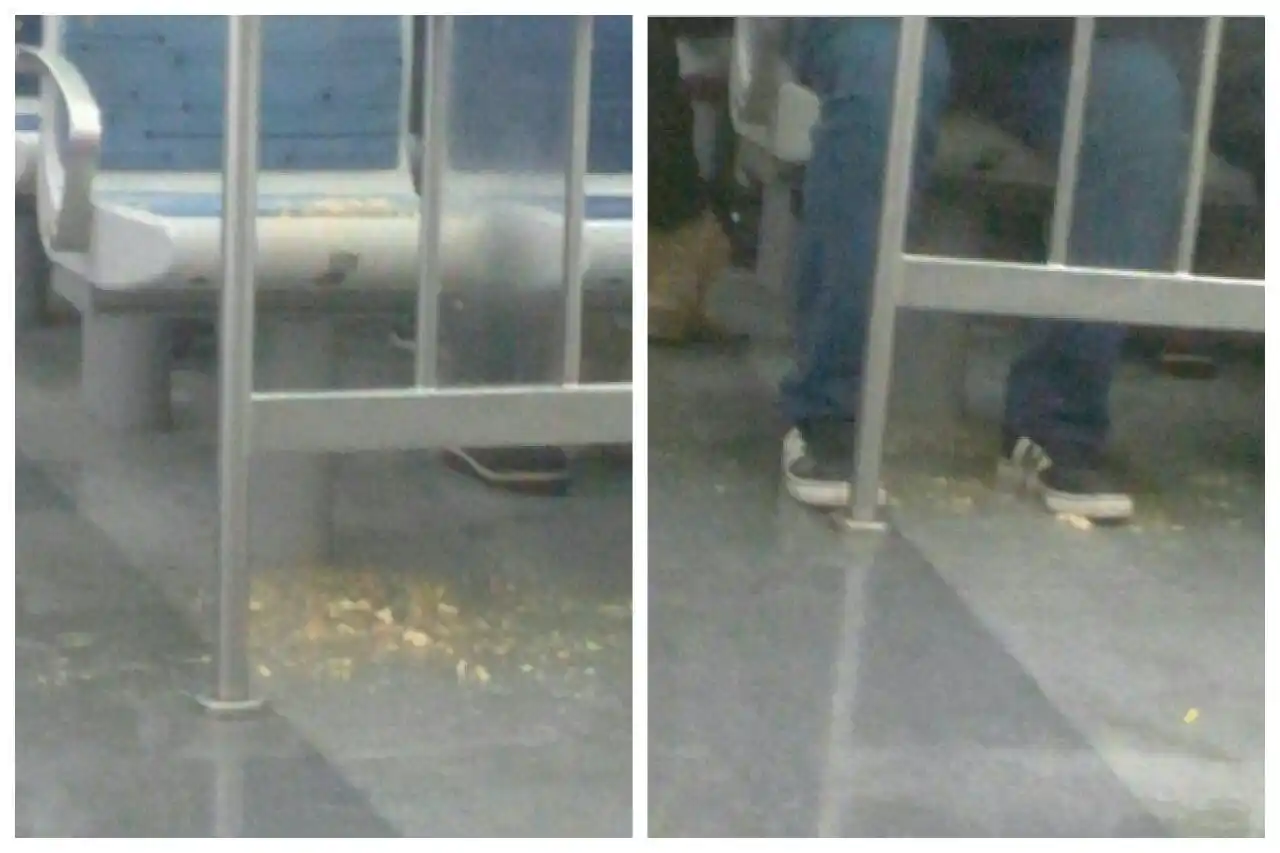 Insólito: Con tal de no viajar parado, se sentó arriba de un vómito en el Tren Sarmiento