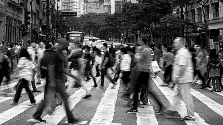 Fotografía de referencia.