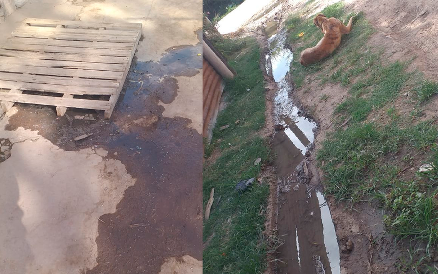 Reclamo por cloacas tapadas en Mateo Sbert al 2100