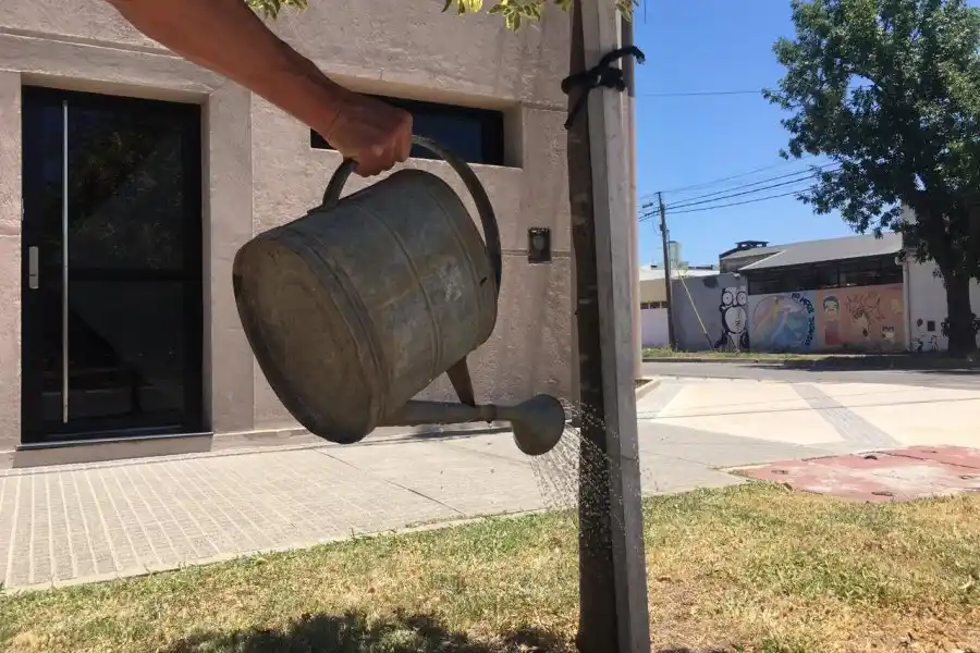 Ciudadanos comprometidos con el cuidado del arbolado