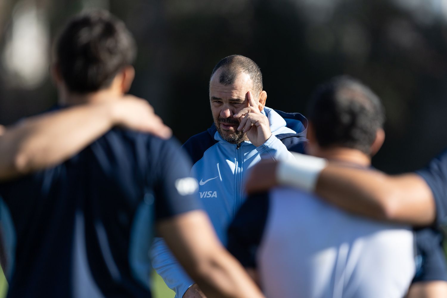 Cheika conduce a Los Pumas.