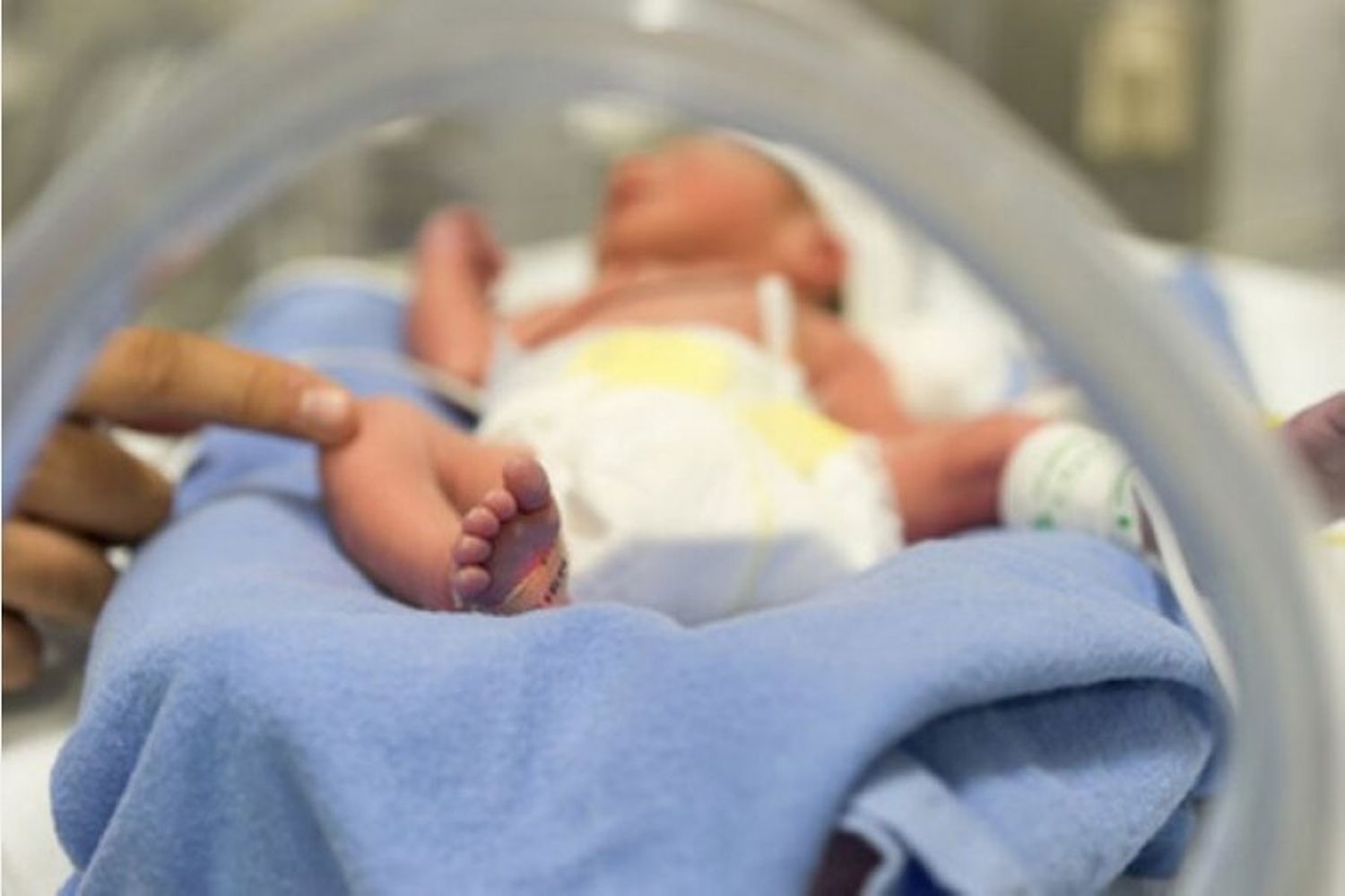 El Hospital realizará distintas actividades por la semana del Prematuro