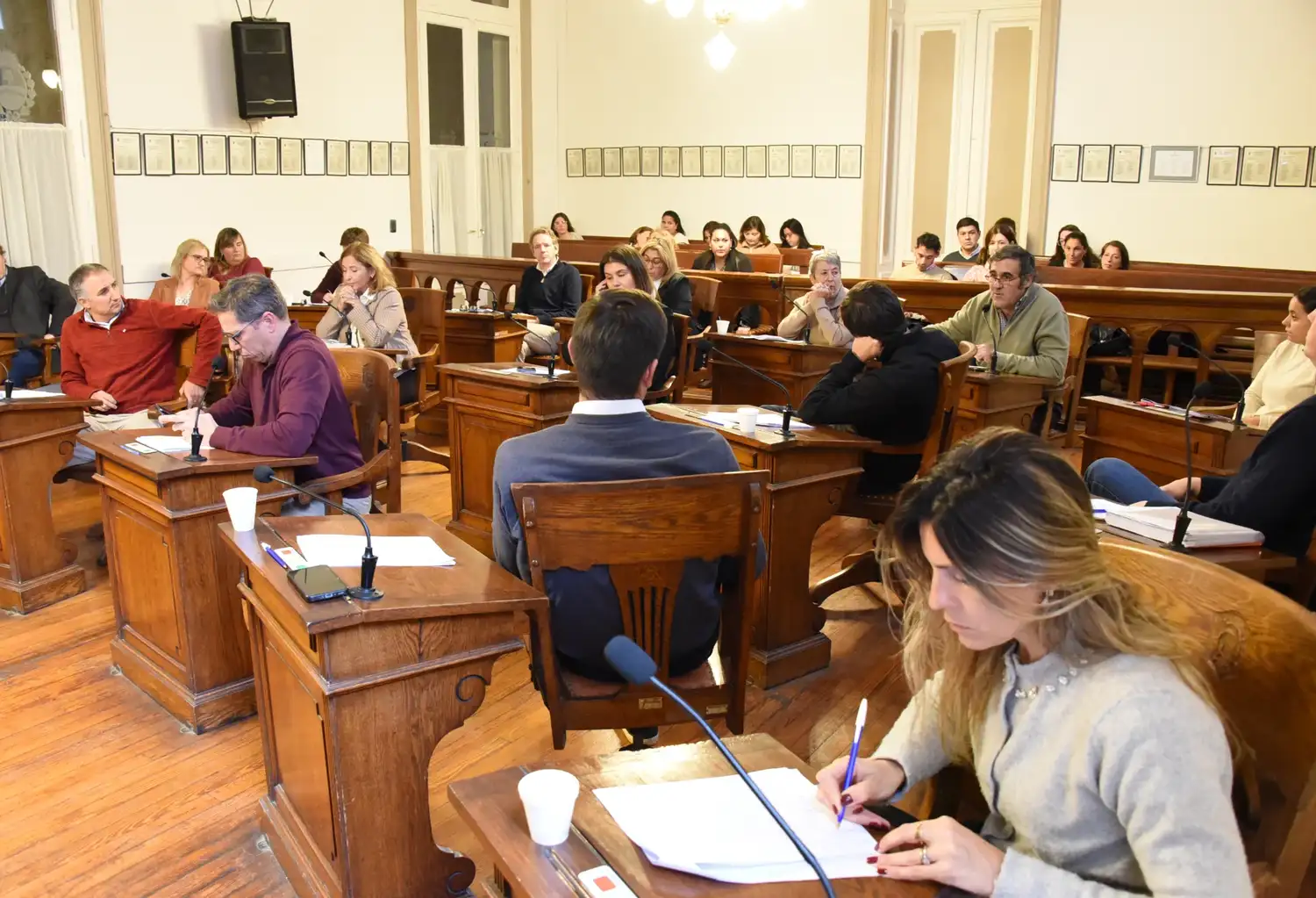 El oficialismo y LLA aprobaron la suba del plano a 1915 pesos pero persiste la crisis del transporte