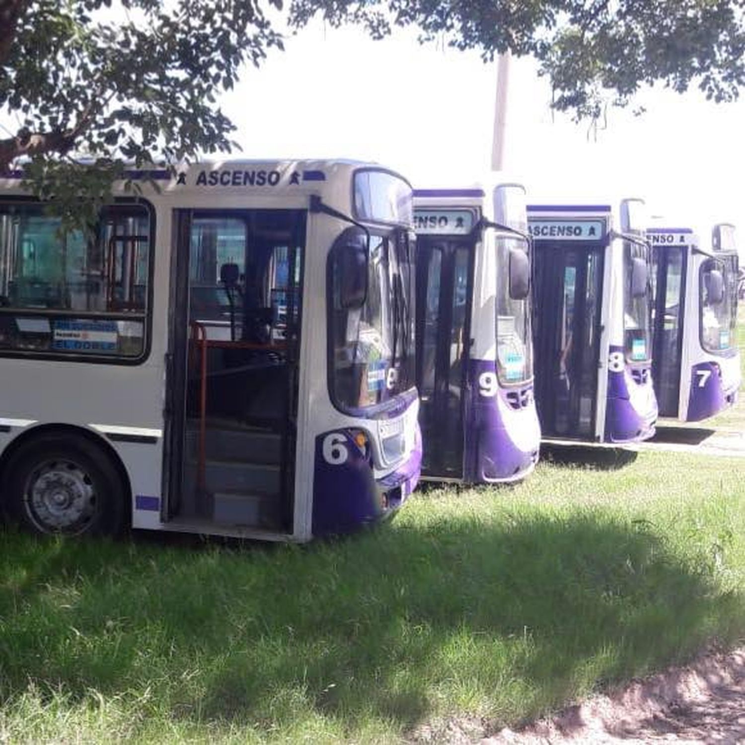 Habrá un servicio especial de transporte de pasajeros para la inauguración de las obras en el Club Náutico