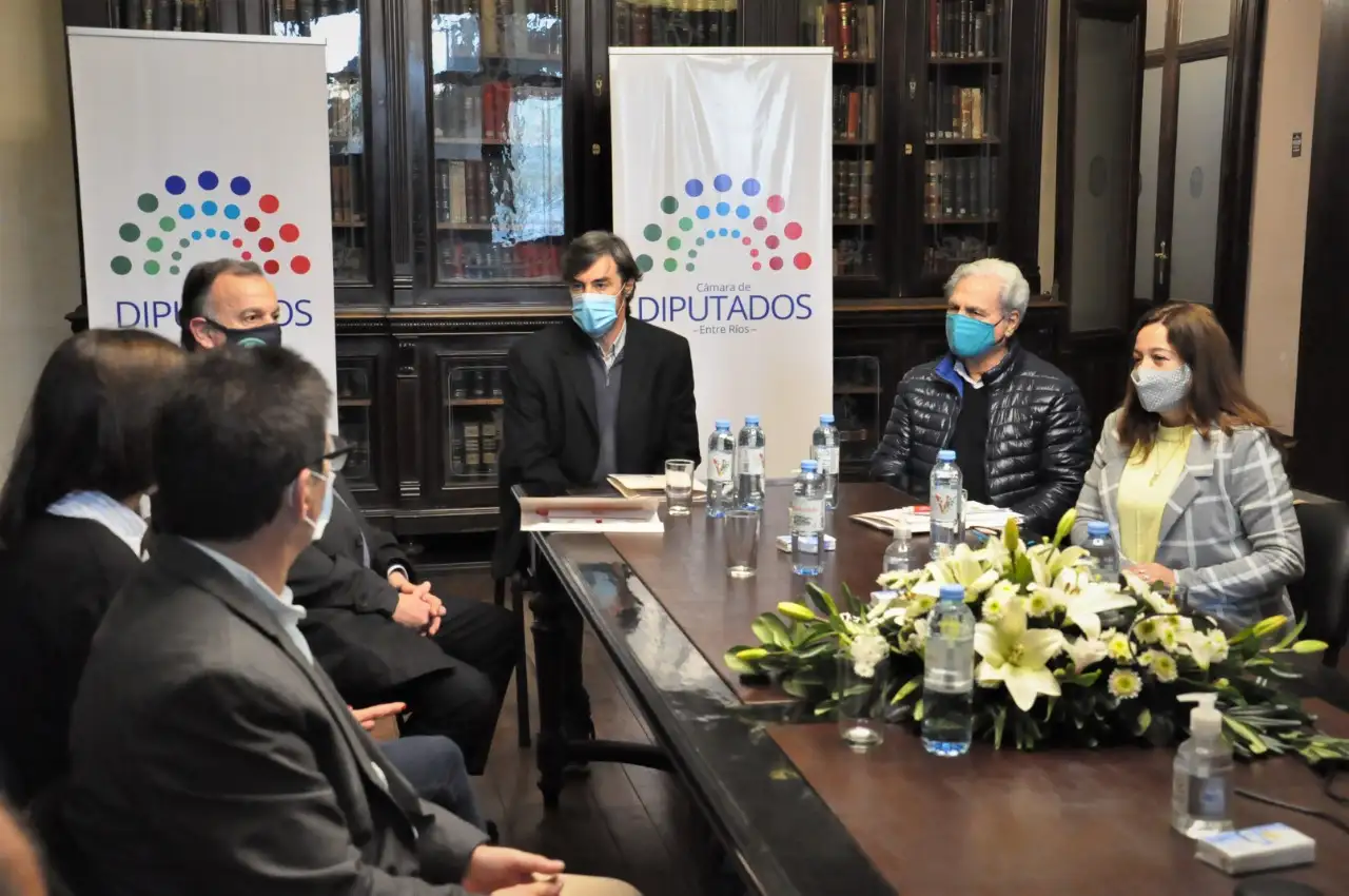 Diputados del PJ se reunieron con Colegios de Profesionales de Entre Ríos
