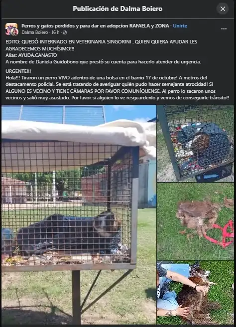 Horror: denunciaron que un perro fue arrojado vivo dentro de una bolsa en barrio 17 de Octubre