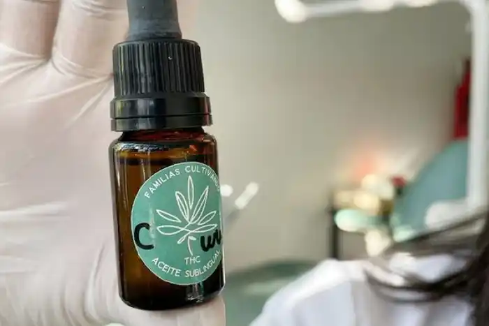 Usan el cannabis para tratar pacientes odontológicos con autismo y con retraso madurativo