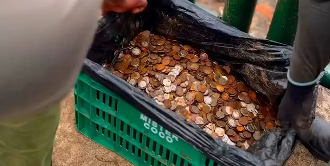 Aunque para el turista el acto de lanzar una moneda termina en segundos, para la fauna acuática es el inicio de un proceso tóxico.