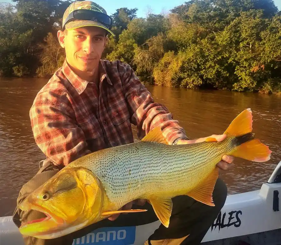 Panorama del pique en todo el país