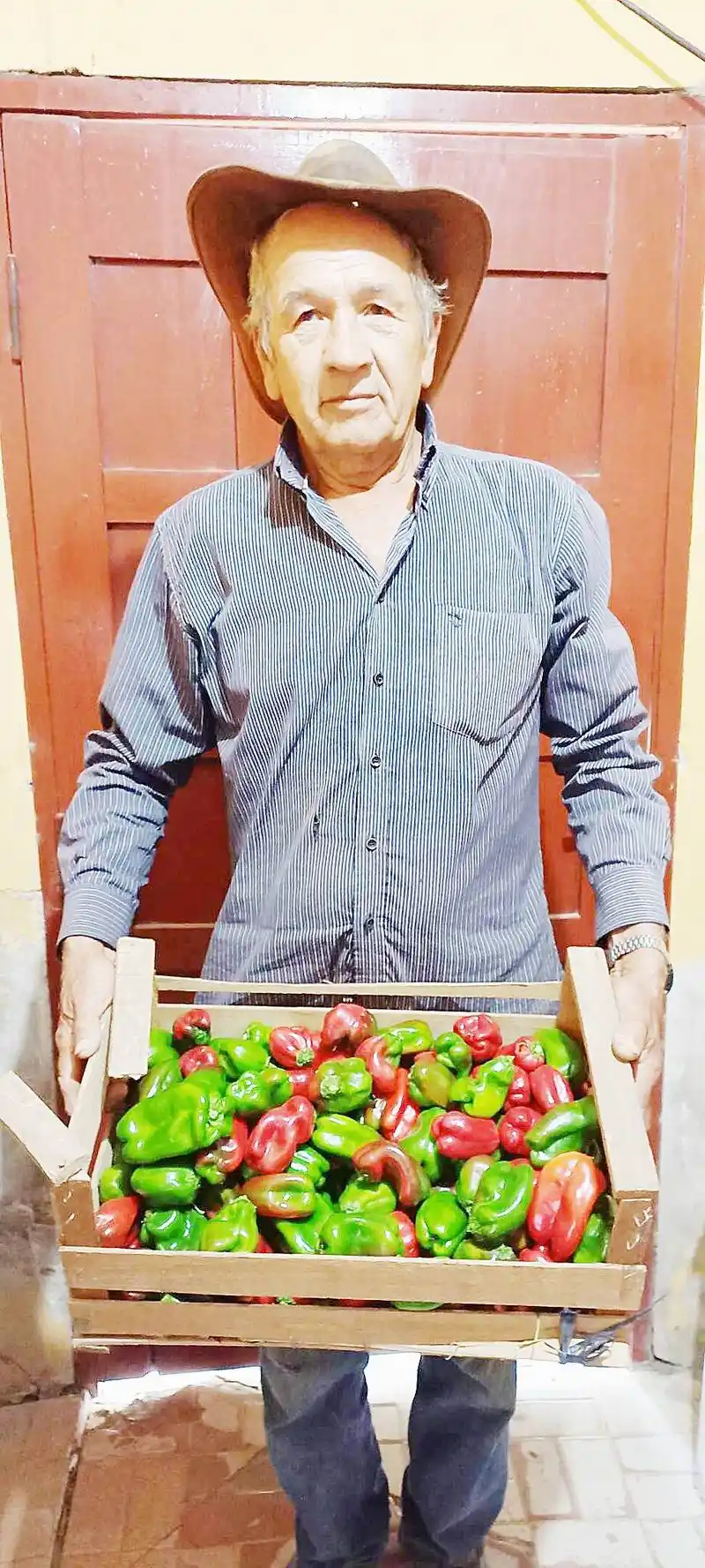 Productores de la zona 
norte piden canal hídrico