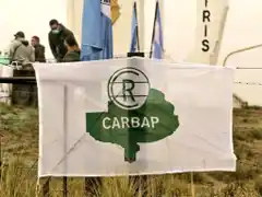 “Nos estamos fundiendo”: crece el malestar de los productores agropecuarios bonaerenses