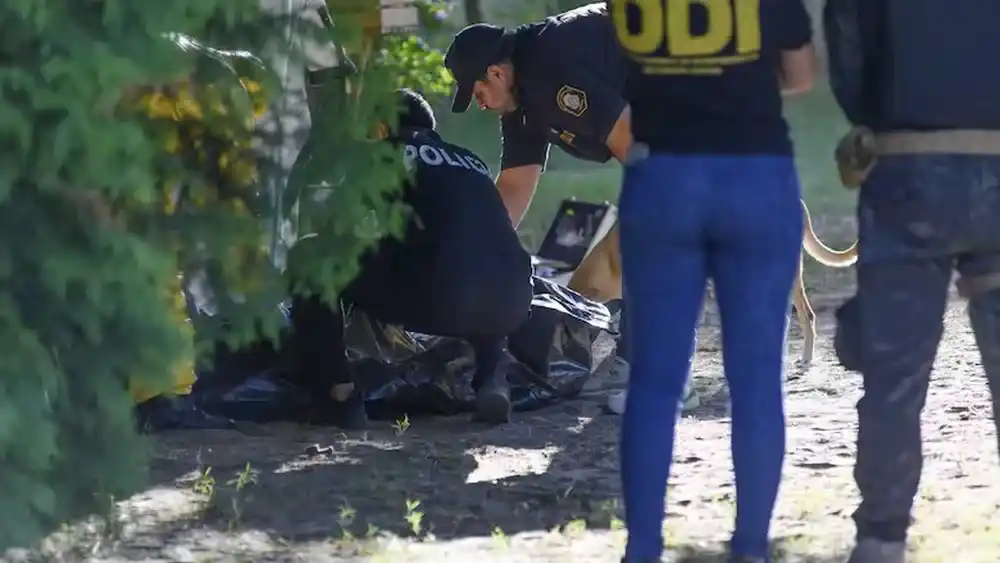 Violencia intrafamiliar en Pinamar: un conflicto que terminó en una muerte