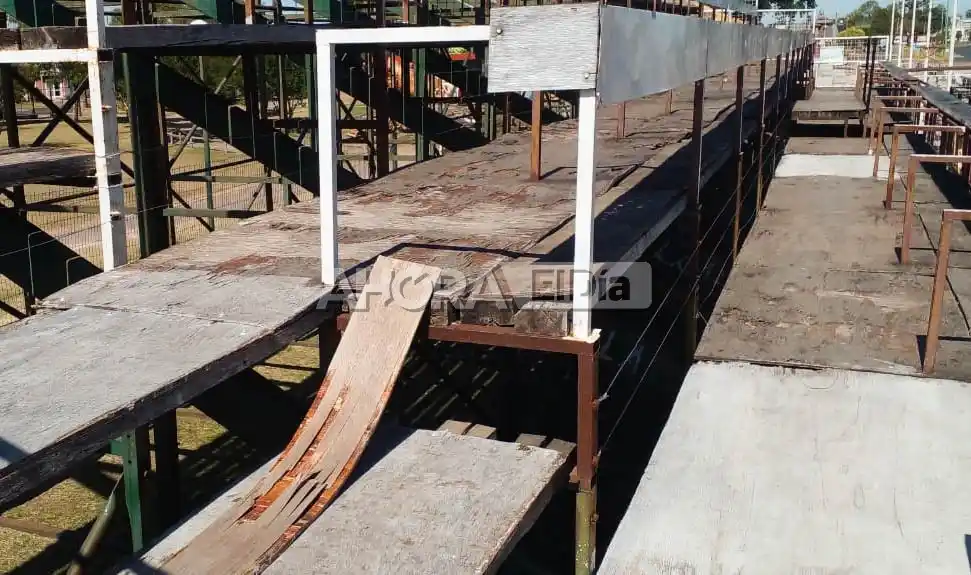 tribunas carnaval - 1