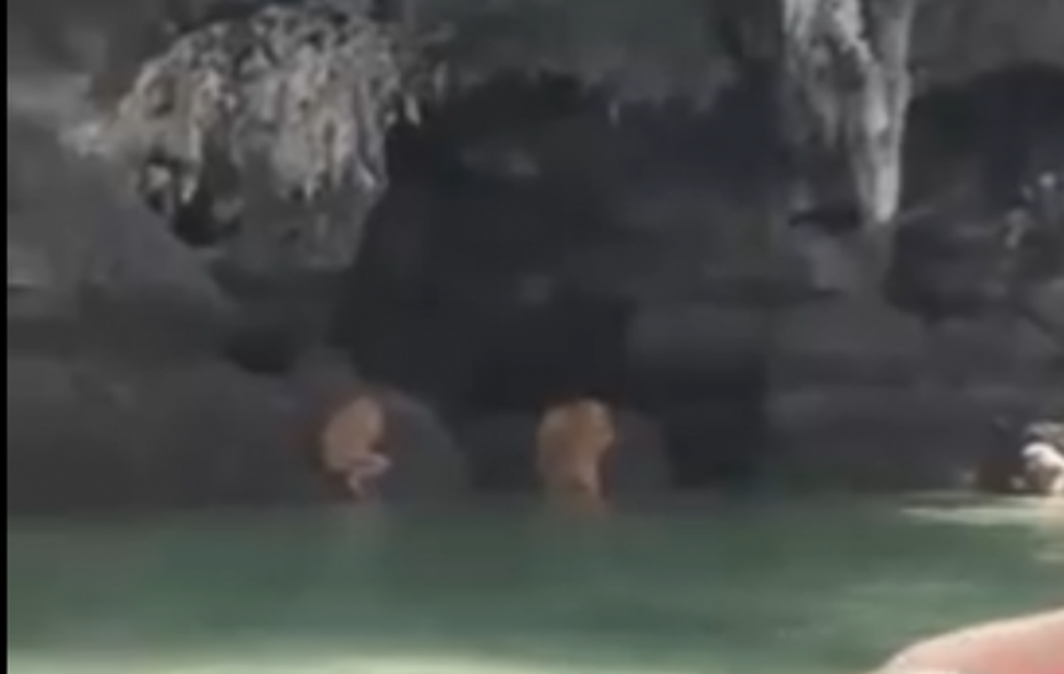 Filmaron extrañas criaturas mientras hacían antiguo ritual en la playa