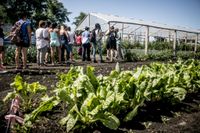 Realizaron un encuentro de  agricultura urbana para  generar más trabajo en Tandil
