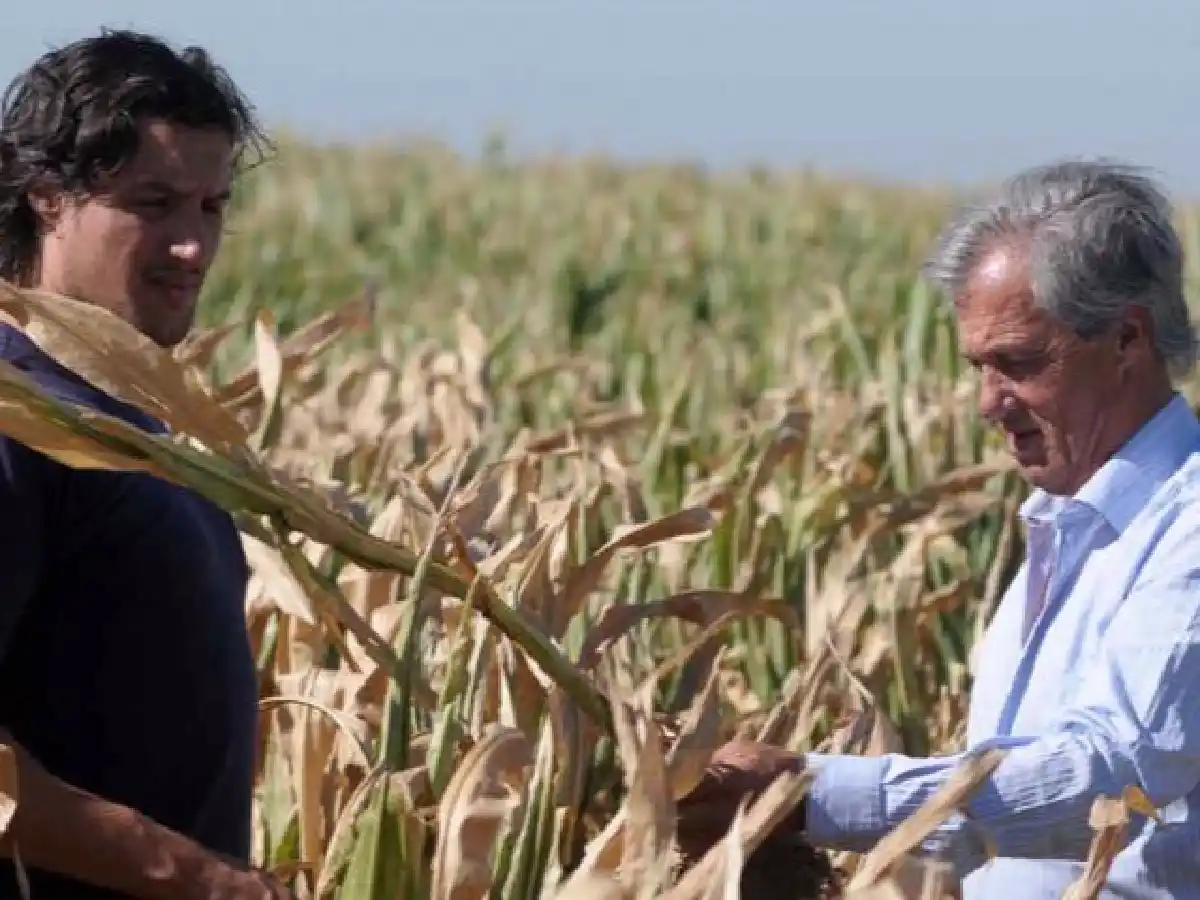 Más de $320 millones para conocer la realidad del mapa agropecuario      