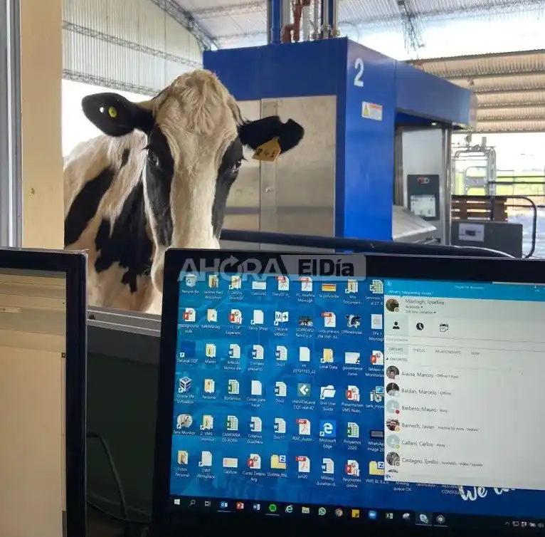 josefina - tambos roboticos - 3