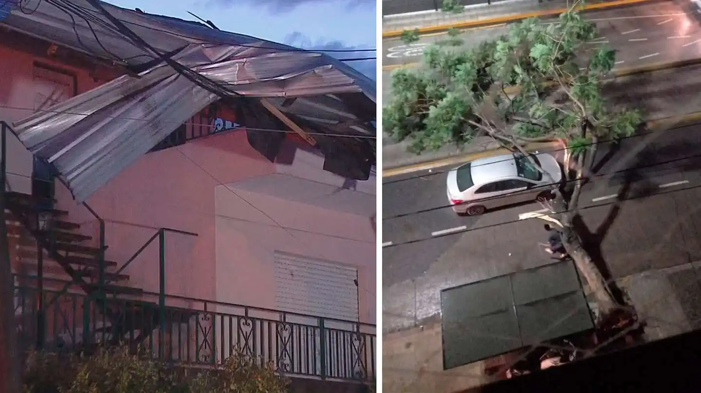 Temporal en la Provincia: La tormenta dejó destrozos, árboles caídos y vientos de 126 kilómetros por hora