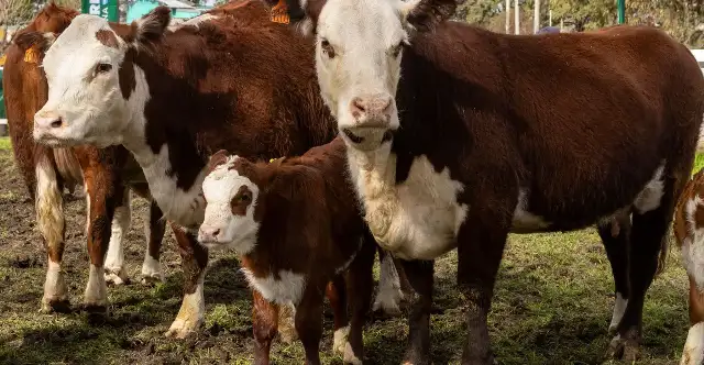 Se viene una nueva jornada a campo en Gualeguay
