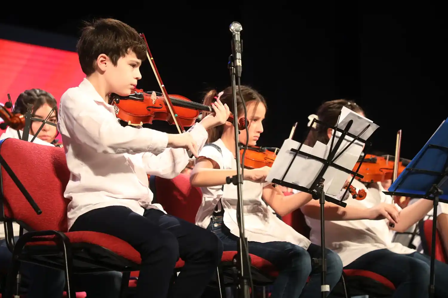 Red Provincial de Coros y Orquestas