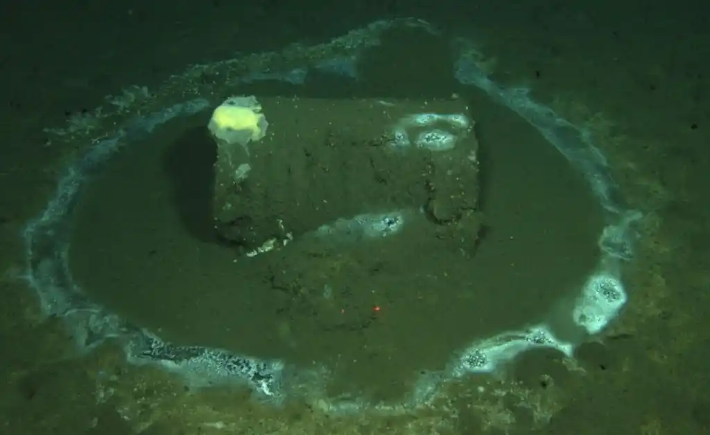 Detectan unos 25.000 barriles con DDT en las costas de California